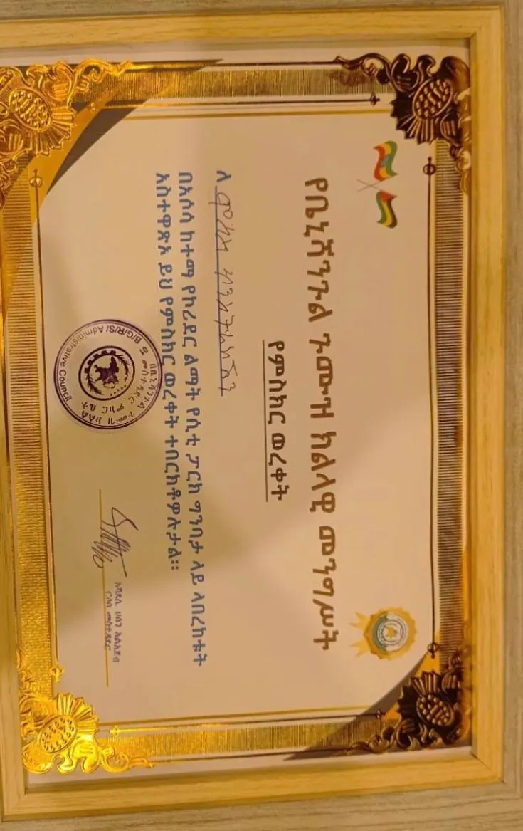 Certificate of recognition — scanned document